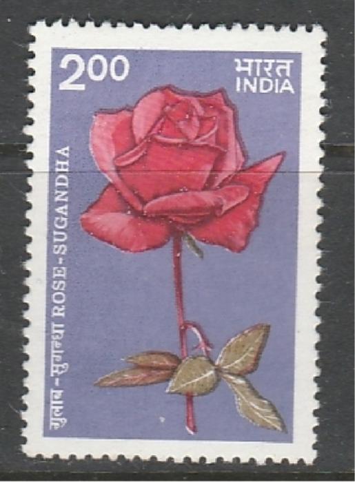 Цветы, Роза, Индия 1984, 1 марка